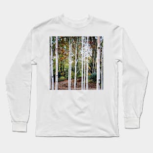 Birch trees Long Sleeve T-Shirt